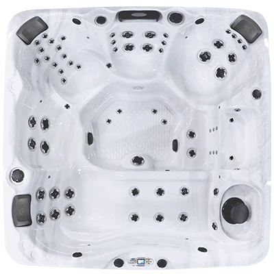 Avalon EC-867L hot tubs for sale in Fairview